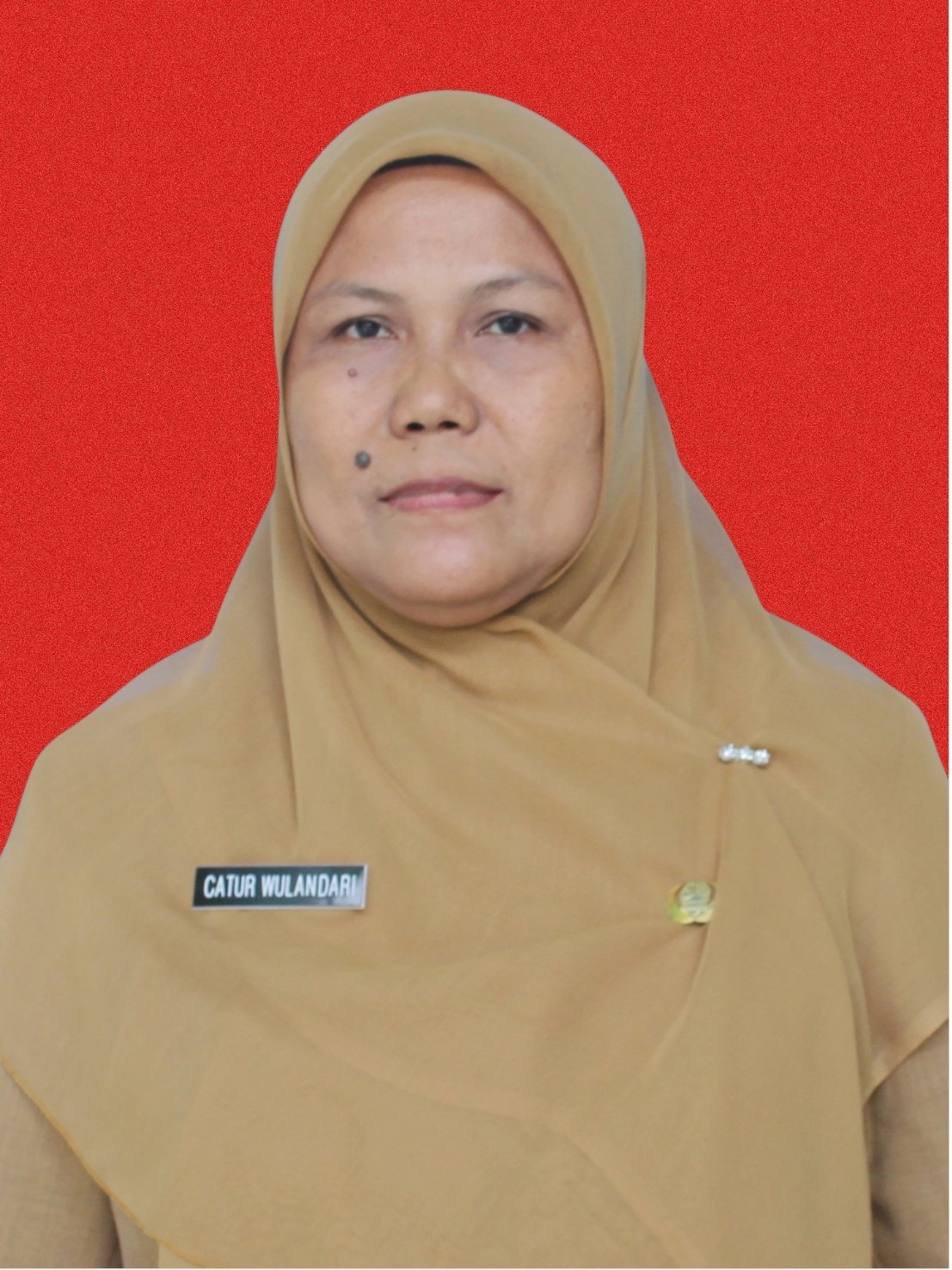 Ibu. Catur Wulandari