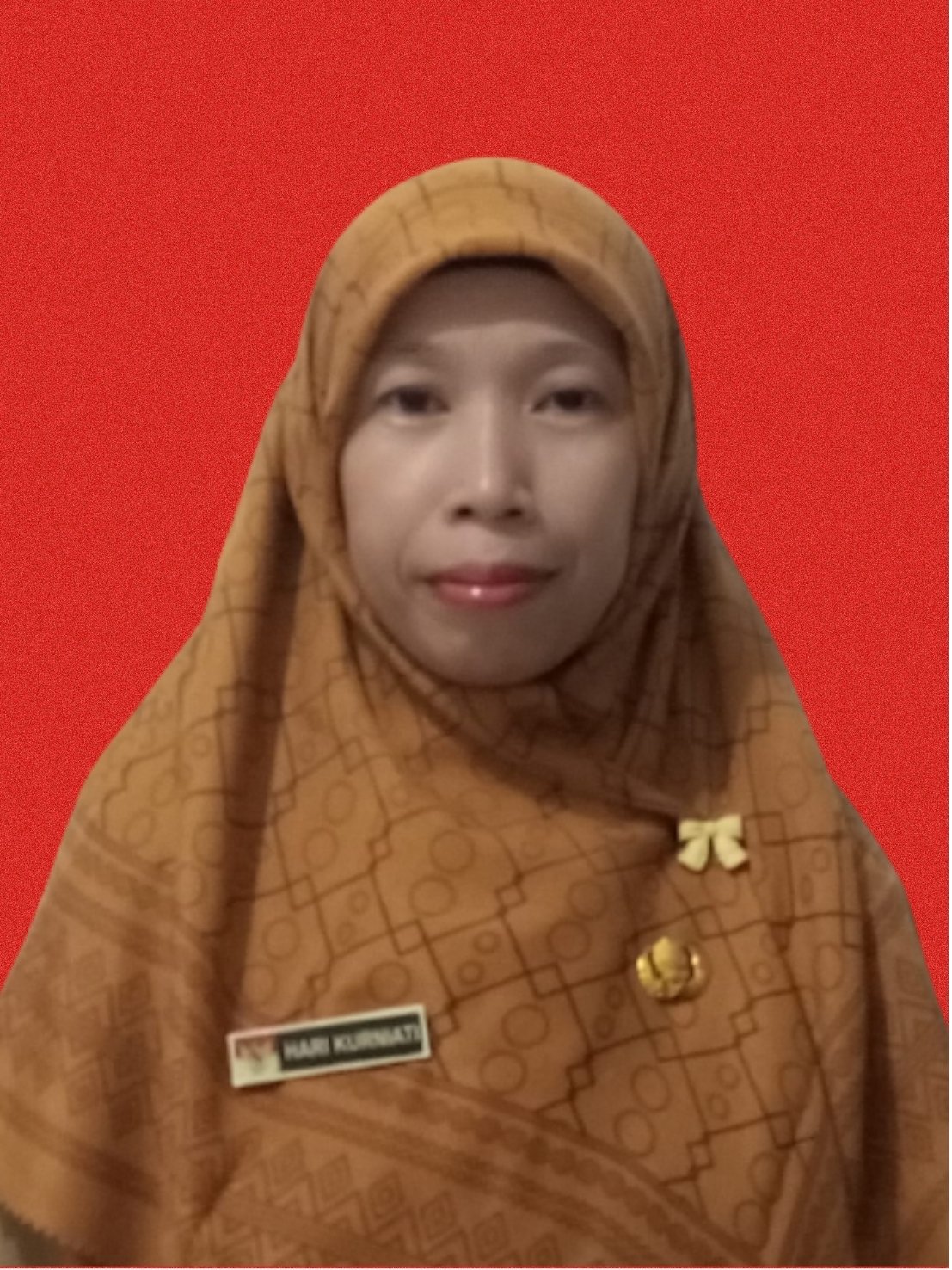 Ibu. Hari Kurniati