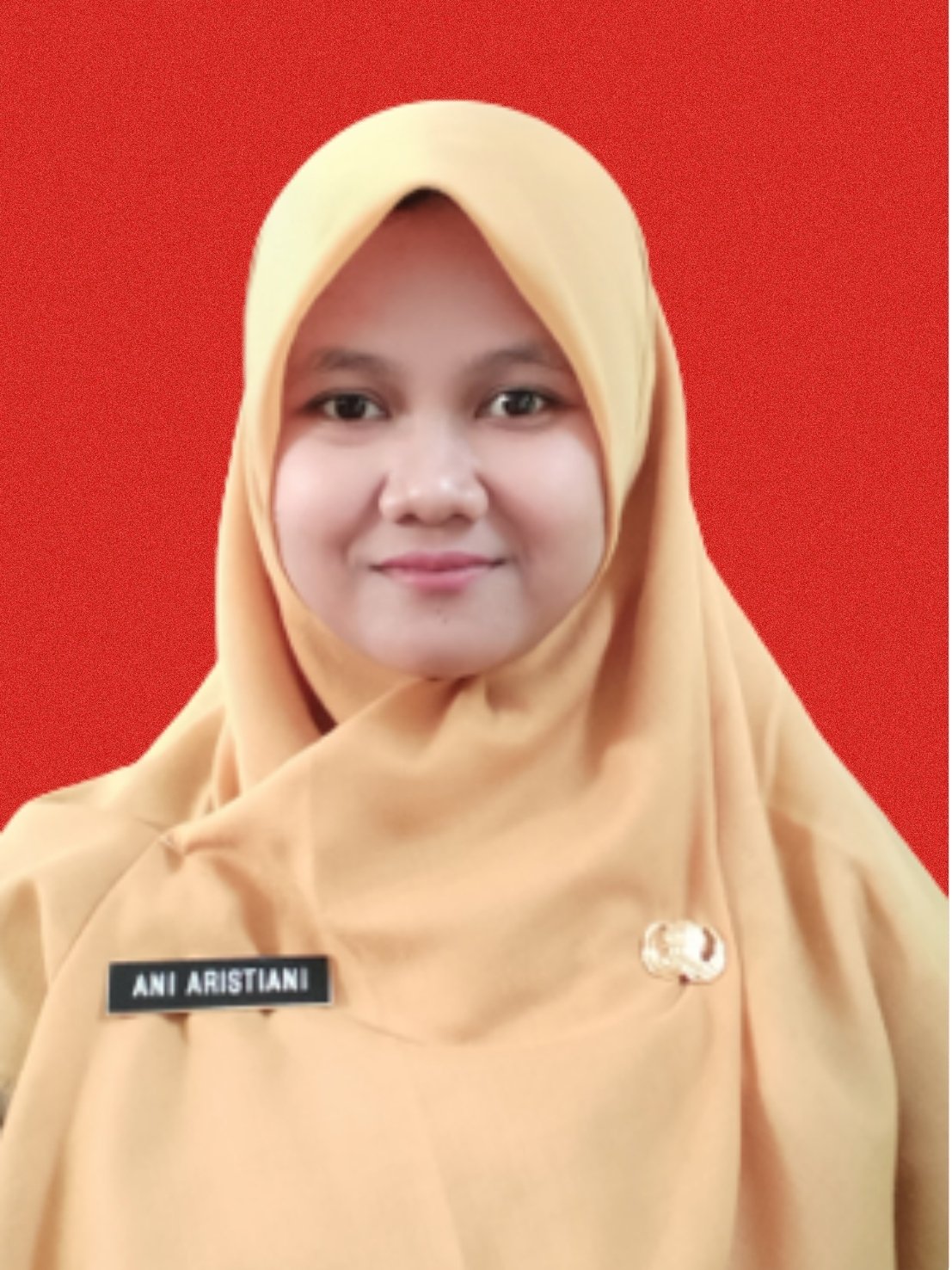 Ibu. Ani Aristiani